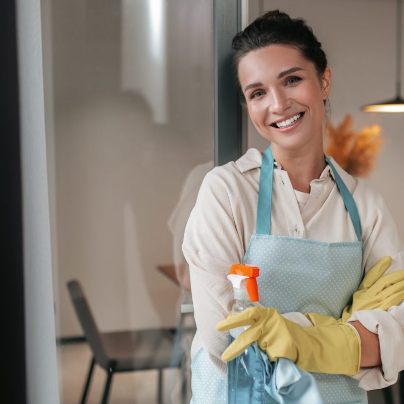 Domestic routine. Smiling housewife in apron standing in the kitchen